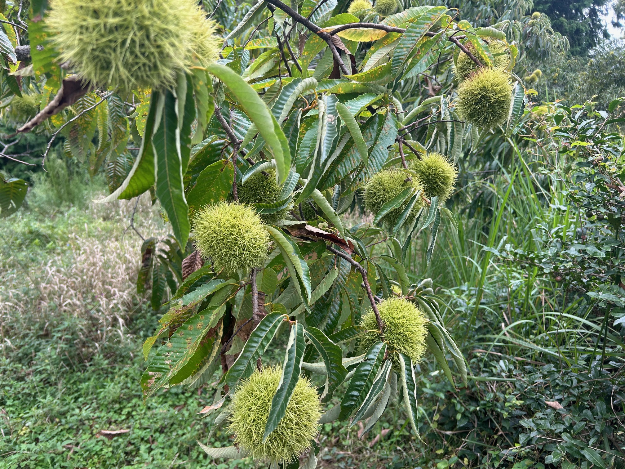 画像：活動関連画像